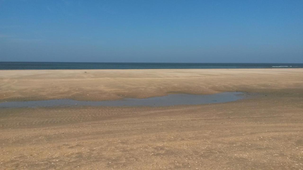 Vitamin Sea Heemskerk Zewnętrze zdjęcie