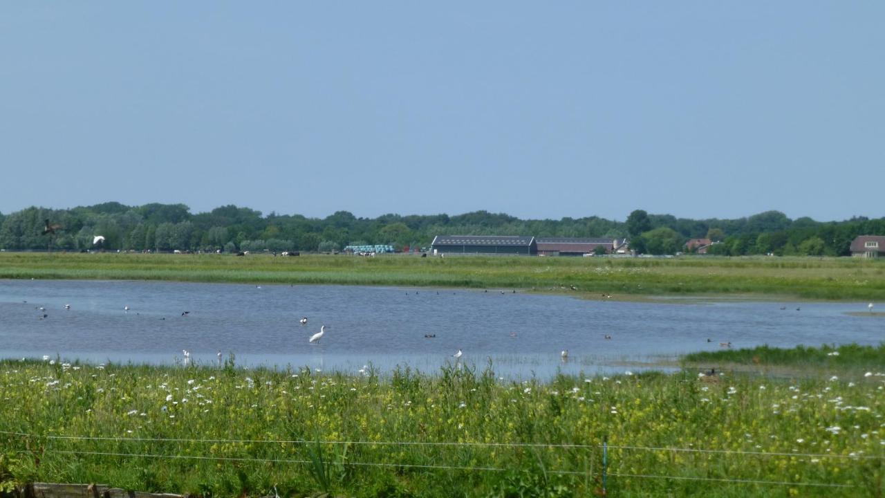Vitamin Sea Heemskerk Zewnętrze zdjęcie
